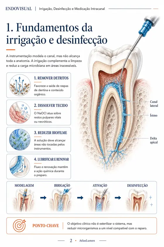 Ficha EndoVisual — Fundamentos da irrigação e desinfecção